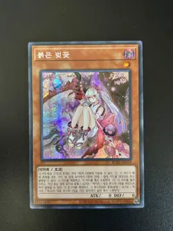 Red Blossoms from Underroot Korean RC03-KR019 Secret Rare NM Yugioh - Image 1