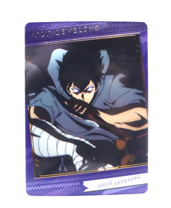 Sung Jinwoo SSR Solo Leveling Eaki Shun Mizushino SSR-06 Anime Trading Card - Image 1