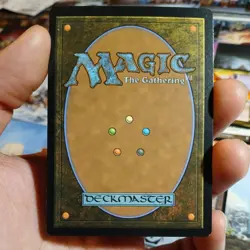 Swamp (Post Malone) - Near Mint MTG Secret Lair Non-Foil signed - Image 2