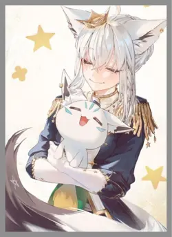 VTuber hololive Fubuki shirakami 60Card Sleeve Protector Japan - Image 2