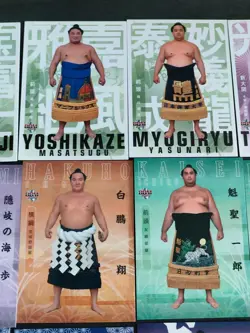 HAKUHO Sho YOKOZUNA BBM 2020 Sumo Wrestling card Takarafuji Takakeisho lot eb108 - Image 3