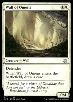 Wall of Omens 077 AFR MTG Magic the Gathering card - Image 1