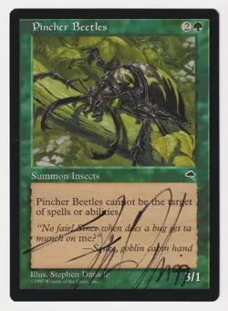 Signed Pincher Beetles LP Tempest Artist Stephen Daniele Dated '99 MTG Magic! - Image 1