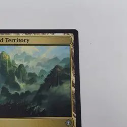 Unclaimed Territory Ixalan Regular 258 - NM MTG TCG - Image 3