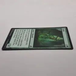 MTG: Fertilid 152/274 - Ikoria Lair of Behemoths 2020 Green Common - Image 3