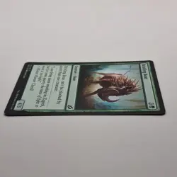 MTG: Bristling Boar 146/274 - Ikoria Lair of Behemoths 2020 Green Common - Image 3