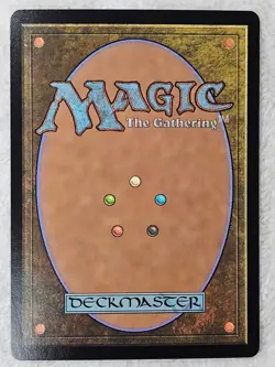 MTG Plains (0263) FOIL - Bloomburrow (BLB) Magic Gathering Card LAND NM - Image 3