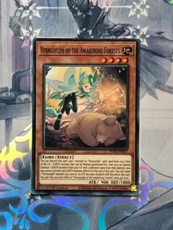 pote-en017 Vernusylph of the Awakening Forests 1st Ed NM Super Rare YuGiOh TCG - Image 1