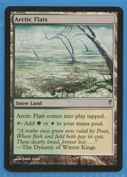MTG: Coldsnap: Arctic Flats - Image 1