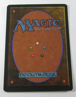 MAGIC THE GATHERING 4th EDITION FOREST LAND NM ENGLISH MTG - Image 2