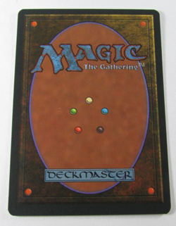 MAGIC THE GATHERING 4th EDITION FOREST LAND NM ENGLISH MTG - Image 2