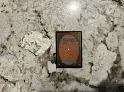 Mtg Sudden Spoiling - Magic the Gathering Sudden Spoiling LP - Image 2