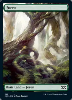 Forest (382) -Foil Light Play MTG Double Masters - Image 1