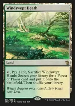 Windswept Heath ~ Khans of Tarkir [ NearMint ] [ Magic MTG ] - Image 1