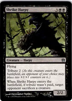 MTG Shrike Harpy Born of the Gods Uncommon #83 - Image 1