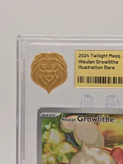 Hisuian Growlithe 181/167 Twilight Masquerade Illustration Rare Pokemon - Image 4