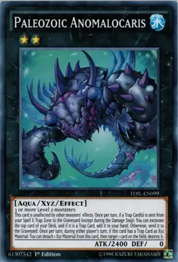 1x (LP) Paleozoic Anomalocaris - TDIL-EN099 - Super Rare - 1st Edition YuGiOh - Image 1