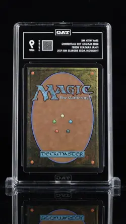 Mint-9 Tag graded Stay With Me (Foil)- Rhystic Study Showcase MTG Final Fantasy - Image 2