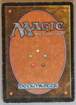 Adarkar Wastes - MTG - Ice Age - Magic: The Gathering - Image 2