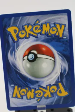 Misty's Seel #91 Pokemon Gym Challenge - Image 2