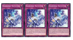 Yugioh- 3X Shinobird Salvation - Common - 1st Edition - MP17-EN224 - Near Mint - Image 1