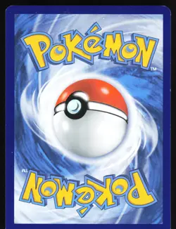 Cyndaquil - SWSH221 Pokemon SWSH: Sword & Shield Promo Cards Promo LP - Image 2