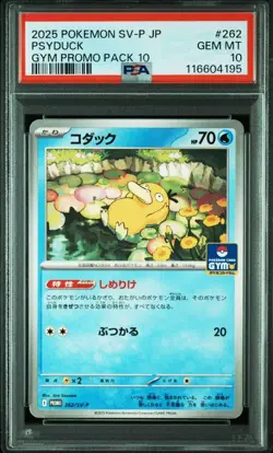 Psyduck Promo 262/SV-P Damp PSA10 Japanese 2025 Pokemon Card - Image 3