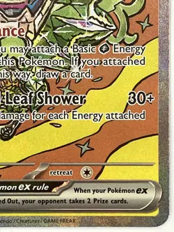 Teal Mask Ogerpon ex NM SIR 145/131 Sv: Prismatic Evolutions Pokemon TCG Holo - Image 5