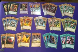 Yugioh Red Eyes Black Dragon Deck Core 48 Cards - Mixed Rarities - Image 1