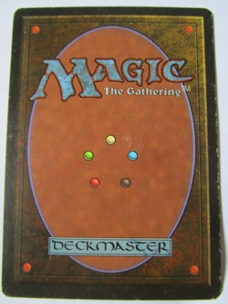 MTG Elvish Ranger Alliances Moderate Play!! - Image 2