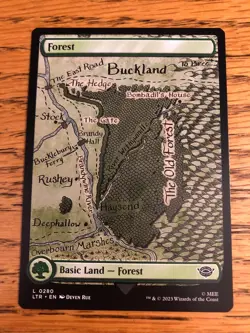 Magic the Gathering MTG Lord of the Rings Forest Full Art 280 NM+ - Image 1