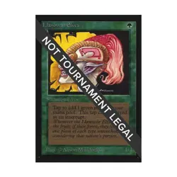 WOTC MtG International Ed. Llanowar Elves (C) NM - Image 1