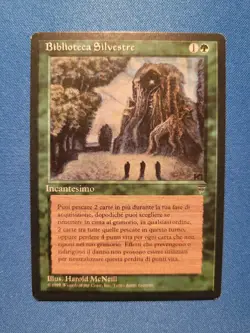 Sylvan Library Italian Legends (Renaissance) LP Magic MTG - Image 1