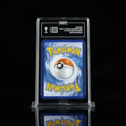 2024 Pokemon SSP EN Braviary Illustration Rare TAG 9 #214/191 - Image 2