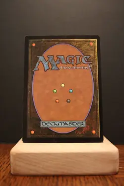 Surrak Dragonclaw Regular LP Dominaria United Commander MTG Cards ManaFam - Image 2