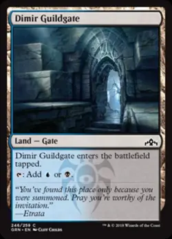 Dimir Guildgate (246) - Near Mint MTG Guilds of Ravnica - Image 1