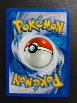 Slugma 99/144 Skyridge Non-Holo NM Vintage Pokemon Card 2003 - Image 2