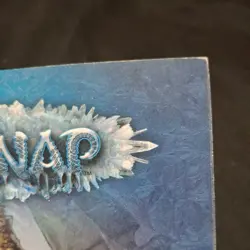 Magic: The Gathering Player's Guide - Coldsnap - MTG - Image 2