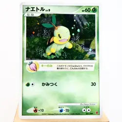 (S-) Turtwig 001/PPP Fan Club 2000 Point Promo 2007 Pokemon Card Japanese y502-6 - Image 1