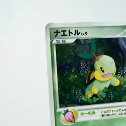(S-) Turtwig 001/PPP Fan Club 2000 Point Promo 2007 Pokemon Card Japanese y502-6 - Image 3