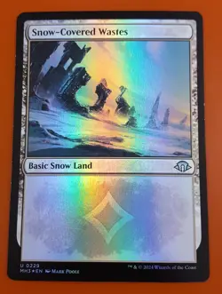1x Snow-Covered Wastes (0229) | FOIL | Modern Horizons 3 | MTG Magic Cards - Image 1