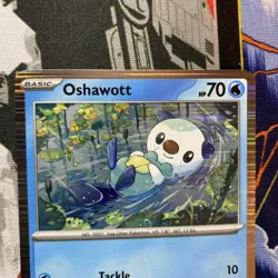 Oshawott 021/086 Black Bolt & White Flare Holo Pokemon Poster Collection Promo - Image 3