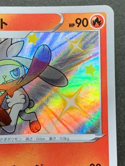 Pokemon card Raboot 215/190 S 2020 Nintendo Japanese Pocket Monster Holo RARE - Image 3