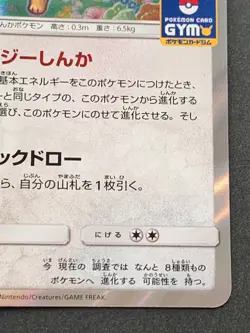 Pokemon card Eevee 245/SM-P PROMO 2018 Pokemon TCG Japanese Holo Rare Nintendo - Image 4