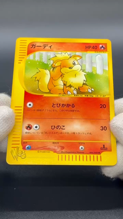 (LP) Arcanine Growlithe Web 006/048 023/048 2 Set Pokemon Card Japanese - Image 2