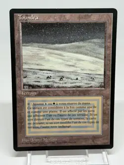 MTG Magic the Gathering Tundra 1994 Jesper Myrfors Initial French - Image 1