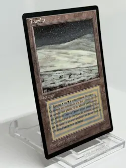 MTG Magic the Gathering Tundra 1994 Jesper Myrfors Initial French - Image 2