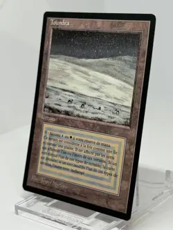 MTG Magic the Gathering Tundra 1994 Jesper Myrfors Initial French - Image 3