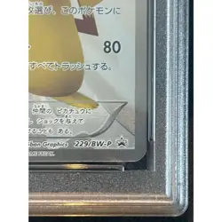 Pokemon Card Pikachu 229 BW-P PSA10 Japanese 73f649a2e0de647743ac7b5ea57e9d4a - Image 5