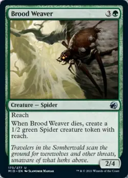 Brood Weaver - Near Mint MTG Innistrad: Midnight Hunt - Image 1